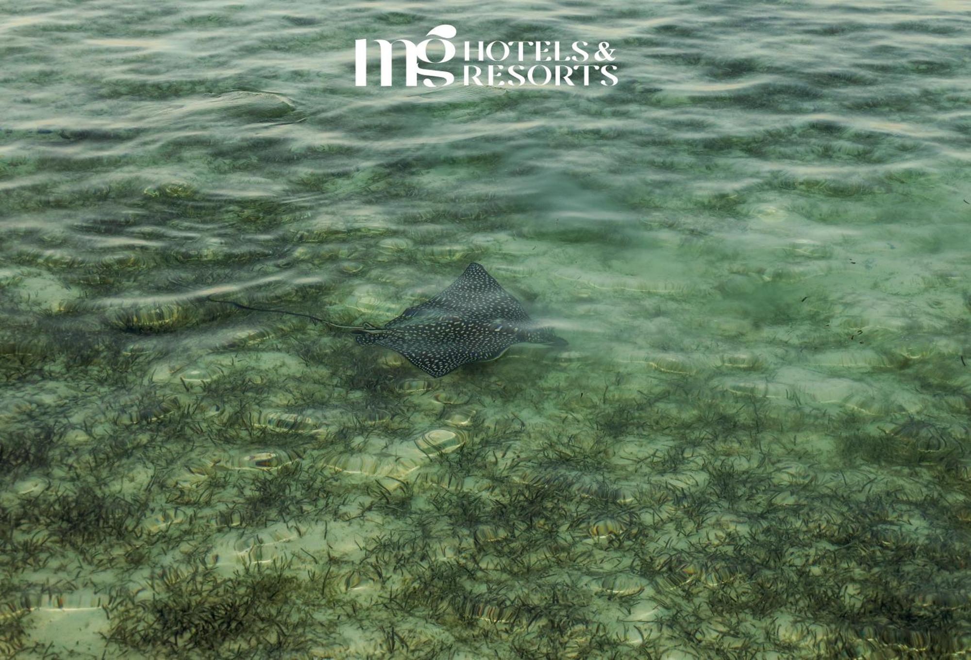Mg Alexander The Great Hotel Marsa Alam Ngoại thất bức ảnh